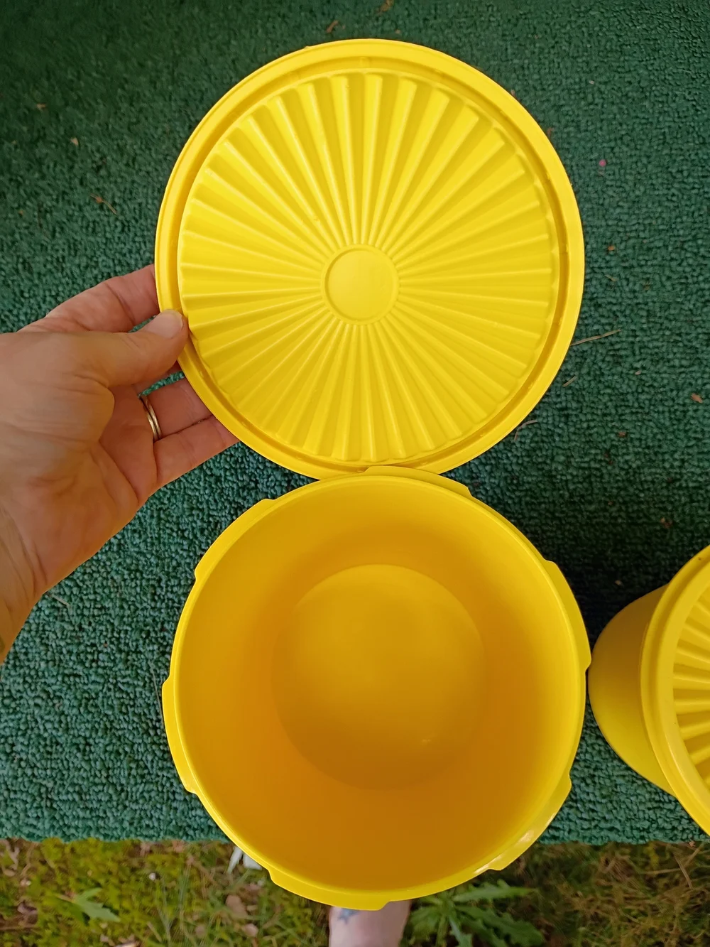 Pair of Smaller Sized 7